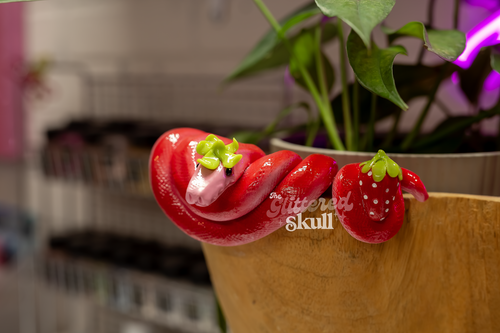 Berry Cute Snek