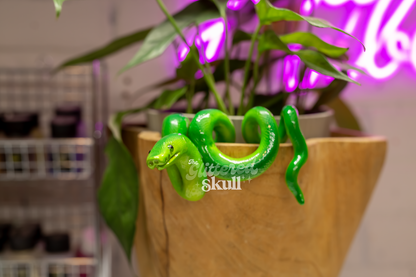 Green Bean Snek